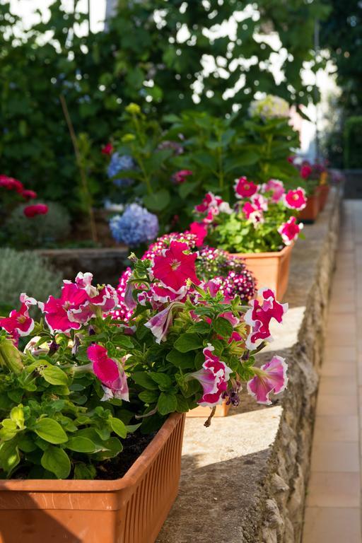 Apartment Nikolina Mali Lošinj Kültér fotó